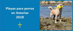 Conoce las playas para perros de Asturias en 2018