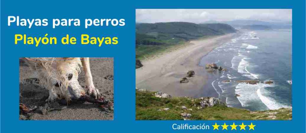 La playa de Bayas es una de las 3 playas para perros de Asturias.