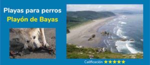 La playa de Bayas es una de las 3 playas para perros de Asturias.