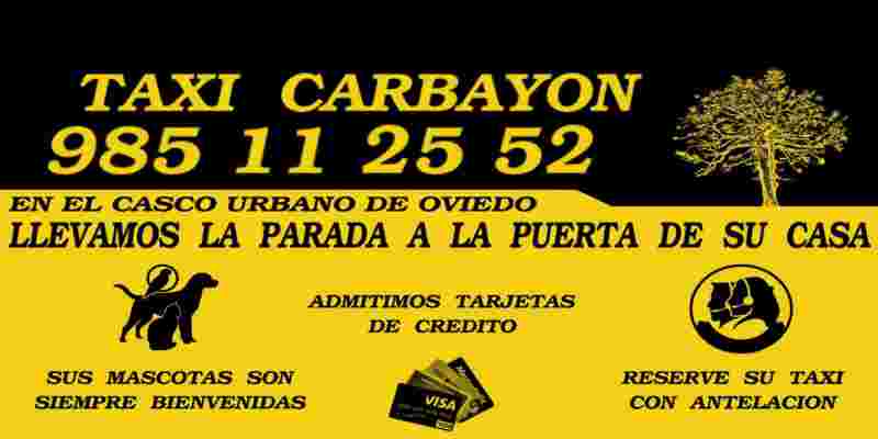 Lláma a tu taxi para perros al teléfono 985112552
