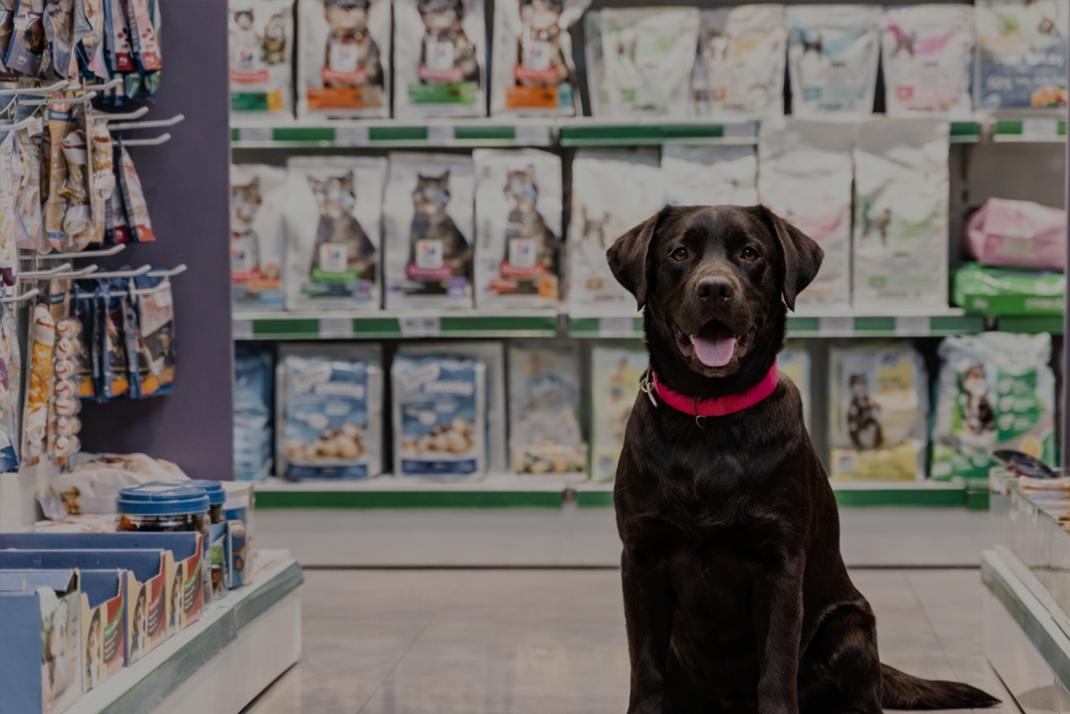 Franquicias Tiendas de Animales Asturias
